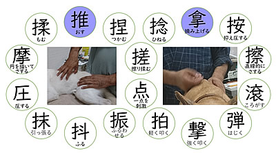 刺すはり(毫鍼)
